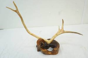wood slab antler mantle art