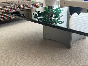 Amazing Saporiti Italia Contemporary Coffee Table