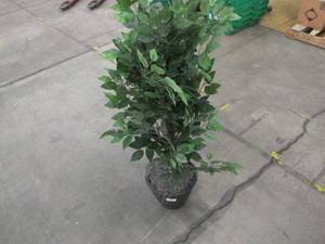 lot 787 image: Vickerman Everyday 4 Artificial Mini Ficus Extra Full Bush In A Black Plastic Pot - Realistic Indoor Greenery Decor - Faux Potted Decoration For Home Or Office Accent