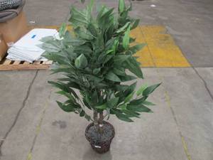 lot 788 image: Vickerman Everyday 4 Indoor Artificial Mango Executive Tree - Real Dragonwood Trunks - Brown Rattan Wicker Pot - Maintenance Free