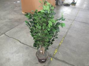 lot 790 image: Vickerman Everyday 4 Artificial Mini Ficus Bush In Round Wicker Pot - Realistic Indoor Greenery Decor - Faux Potted Decoration For Home Or Office Accent