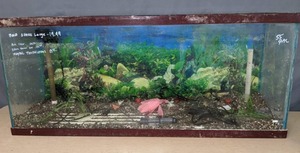 lot 97 image: 55 Gallon Aquarium Tank and Accessories X