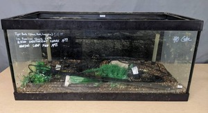lot 98 image: 40 Gallon Aquarium with Accessories X