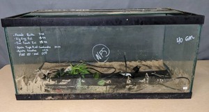 lot 99 image: 40 Gallon Aquarium and Accessories X