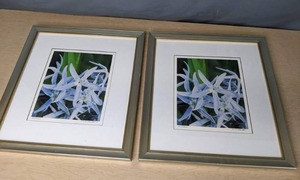 lot 152A image: Set of 2 Framed and Matted Artist Prints by D. Kahler Into the Blue N