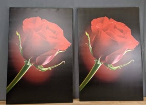 lot 289 image: Two Beautiful Photos of Red Roses on a Stretcher Frame N