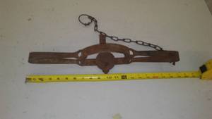 Animal Trap