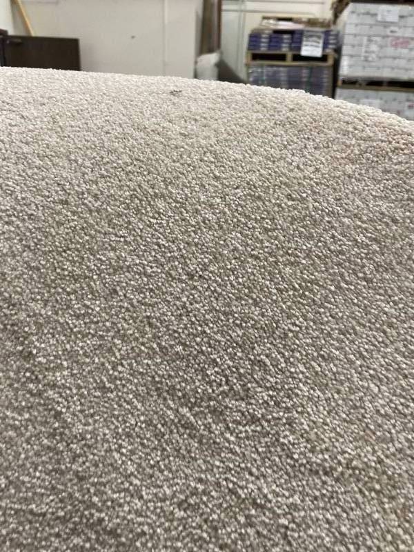 432 SF of Off White Plush Dreamweaver Carpet 12x36.5