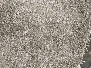 200 sq ft  9 x 23 Beige Plush carpet Remnant .