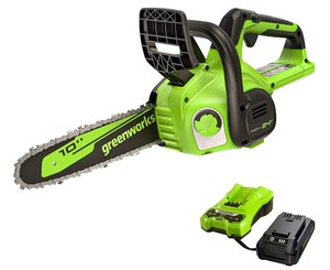 NEW Greenworks 24V 10 Chainsaw