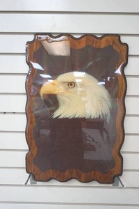 lot 141 image: wood shellac eagle wall plaque