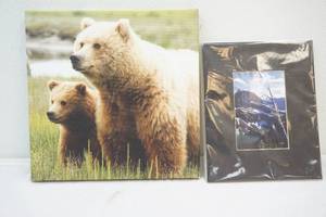 lot 144 image: grizzly print, matted Mount Gould photo