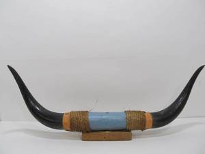 lot 228 image: Genuine Bull Horn Wall Display