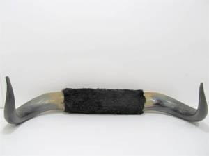 lot 229 image: Genuine Bull Horn Wall Display