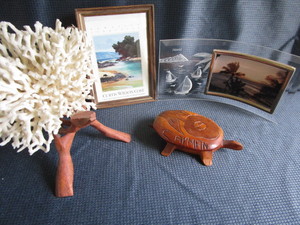 Coral, Art, Wooden Turtle