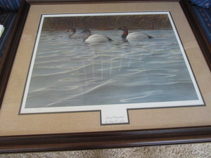 Canvasbacks Print
