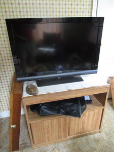 Vizio Television & Stand
