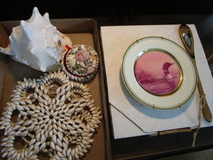 Sea Shells & Loons