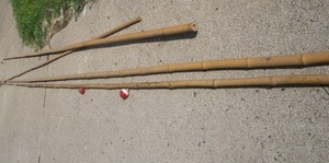 Cane Poles