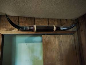 Long Horns