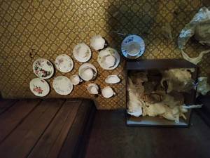Collection of china