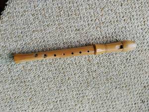 German recorder-type instrument