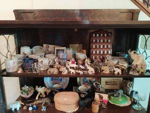 Elephants & More