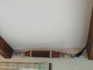 Longhorn Mount  2
