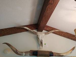 Longhorn Mount  1