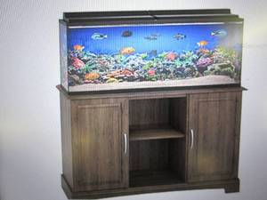 flipper by ollie and hutch harbor 5...
