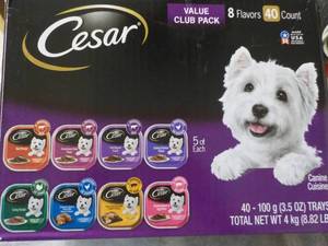 Case of Cesar 40 Count Canine Cuisi...