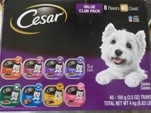 Case of Cesar 40 Count Canine Cuisi...