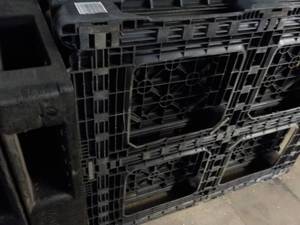 3 Plastic Pallets...