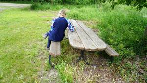 lot 27 image: Large family-size picnic table 10 feet long with steel base
