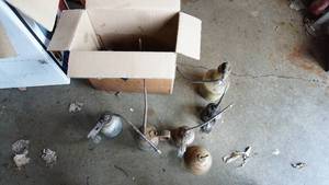 lot 38 image: Vintage oil cans