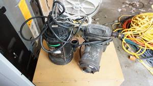 lot 49 image: Lot of 2 sump pumps including a Wayne sump pump both work