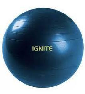 lot 178 image: Ignite by SPRI Professional Stable Exercise Ball Kit WPump (55 CM)