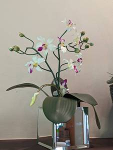 Potted Faux Orchid Plants