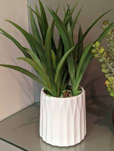 Potted Faux Plants