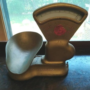 Toledo Scale Company scale