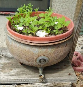 Old LDE Creamer Planter