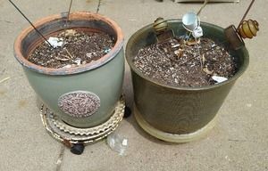 Two Large Ceramic Planters