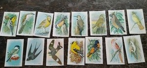 Vintage Collectable Trading Cards From Arm And Hammer