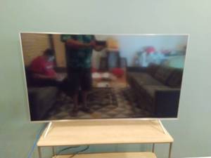 Samsung 55 TV with Screen Damage
