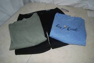 lot 51 image: Talbots Shorts and Tops