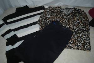 lot 75 image: Talbots Tops and Pants