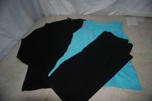 lot 77 image: Talbots Tops and Pants