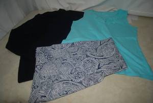 lot 79 image: Talbots Tops and Pants