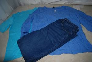 lot 84 image: Talbots Tops and Pants