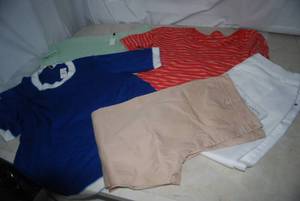 lot 101 image: Talbots Tops and Pants